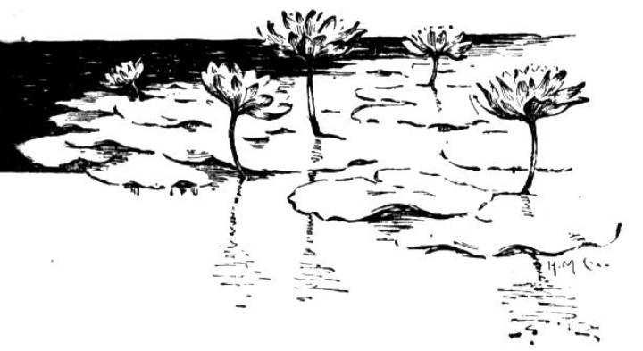 Puritan: A Journal for Gentlewomen (1897)
Author: The Puritan
Illustrator: Many
Publisher: The Puritan
Copyright (c) 1996 Zedcor Inc. All Rights Reserved.
Keywords: lily pads lotus flowers , b/w

